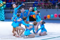 © ВФЭГ (RFAG)