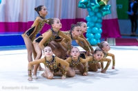 © ВФЭГ (RFAG)