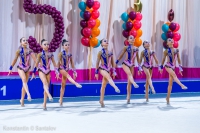 © ВФЭГ (RFAG)