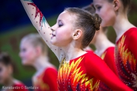 © ВФЭГ (RFAG)