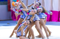 © ВФЭГ (RFAG)