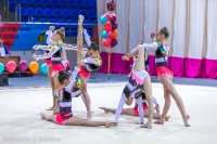 © ВФЭГ (RFAG)