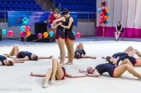© ВФЭГ (RFAG)