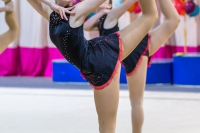 © ВФЭГ (RFAG)