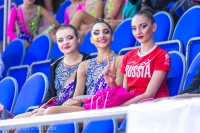 © ВФЭГ (RFAG)