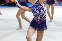 © ВФЭГ (RFAG)