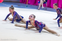 © ВФЭГ (RFAG)