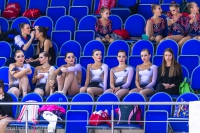 © ВФЭГ (RFAG)