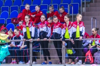 © ВФЭГ (RFAG)