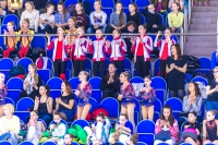 © ВФЭГ (RFAG)