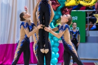 © ВФЭГ (RFAG)
