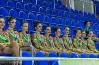 © ВФЭГ (RFAG)
