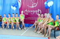 © ВФЭГ (RFAG)