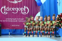 © ВФЭГ (RFAG)