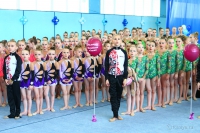 © ВФЭГ (RFAG)