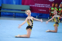 © ВФЭГ (RFAG)