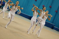 © ВФЭГ (RFAG)