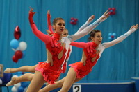© ВФЭГ (RFAG)