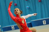 © ВФЭГ (RFAG)