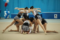 © ВФЭГ (RFAG)