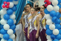 © ВФЭГ (RFAG)