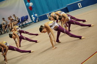 © ВФЭГ (RFAG)