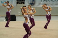 © ВФЭГ (RFAG)