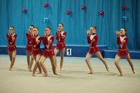 © ВФЭГ (RFAG)