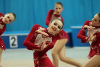 © ВФЭГ (RFAG)