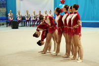 © ВФЭГ (RFAG)