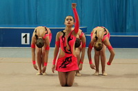 © ВФЭГ (RFAG)
