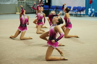 © ВФЭГ (RFAG)