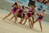 © ВФЭГ (RFAG)