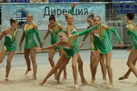 © ВФЭГ (RFAG)
