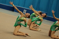 © ВФЭГ (RFAG)