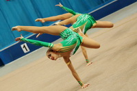 © ВФЭГ (RFAG)