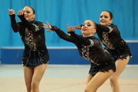 © ВФЭГ (RFAG)