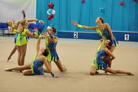 © ВФЭГ (RFAG)