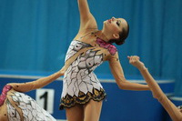 © ВФЭГ (RFAG)