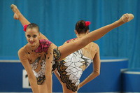 © ВФЭГ (RFAG)