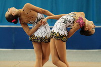 © ВФЭГ (RFAG)