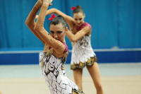© ВФЭГ (RFAG)