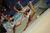 © ВФЭГ (RFAG)