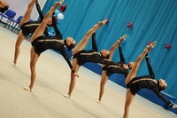 © ВФЭГ (RFAG)