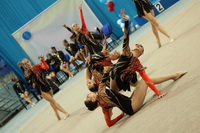 © ВФЭГ (RFAG)