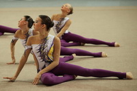 © ВФЭГ (RFAG)