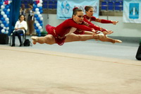 © ВФЭГ (RFAG)