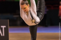 © ВФЭГ (RFAG)