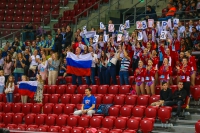 © ВФЭГ (RFAG)