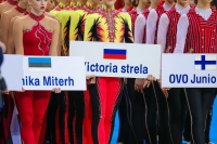 © ВФЭГ (RFAG)